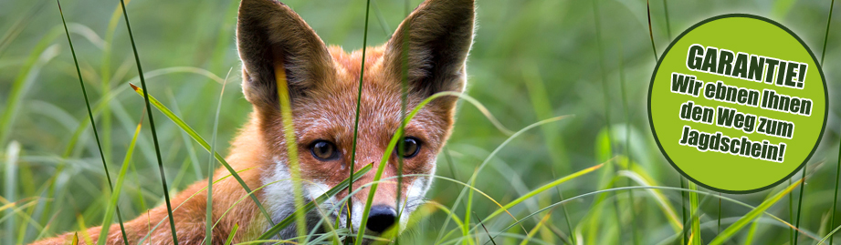 Jagdschule Region Hannover Lehrgang