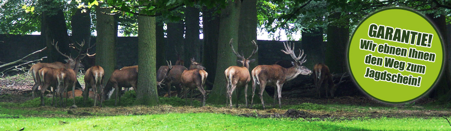 Jagdschule Region Hannover Lehrgang